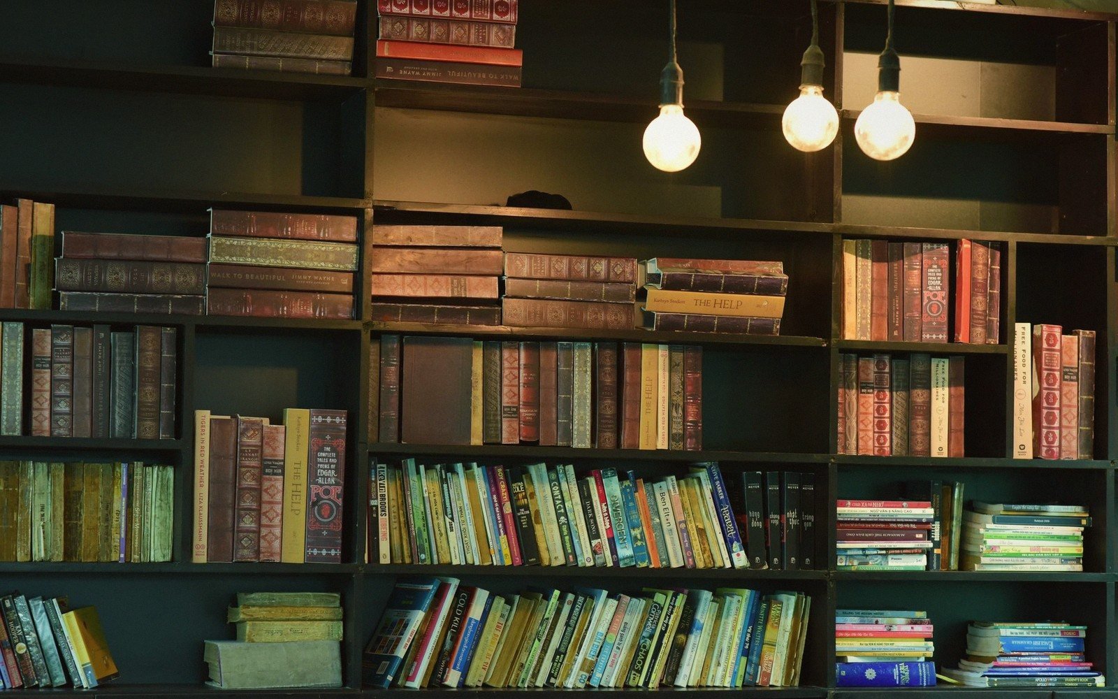 a full bookshelf in warm light with spines facing out
