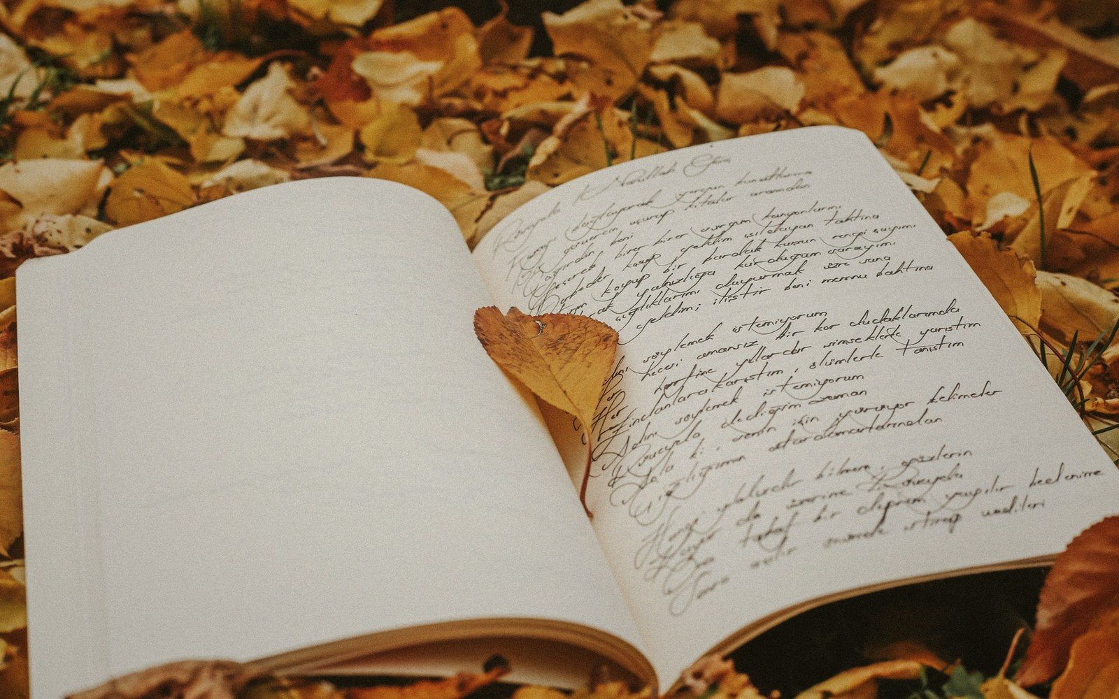 How to Keep a Reading Journal